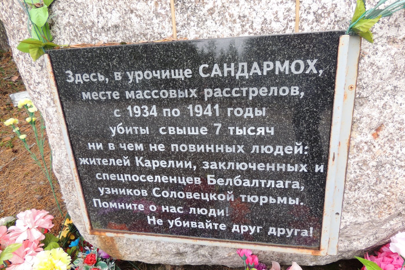 dscn4161 jpg