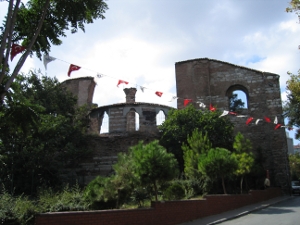 stmon